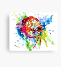 Rainbow Discus aquarium fish Artwork Canvas Print