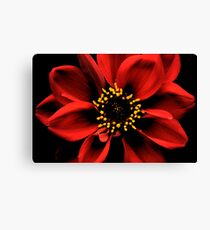 Nightwatch Canvas Print