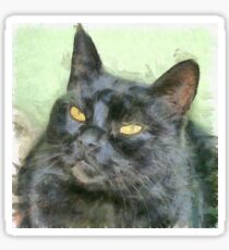 Black Cat Sticker