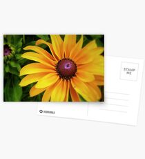 A Ray Of Sunshine Postcards