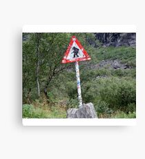 Trolls crossing Canvas Print