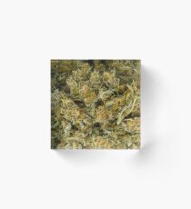 cannabis Acrylic Block