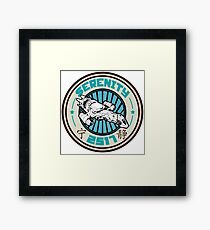 Serenity 2517 Framed Print