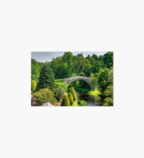Doon Bridge Art Board
