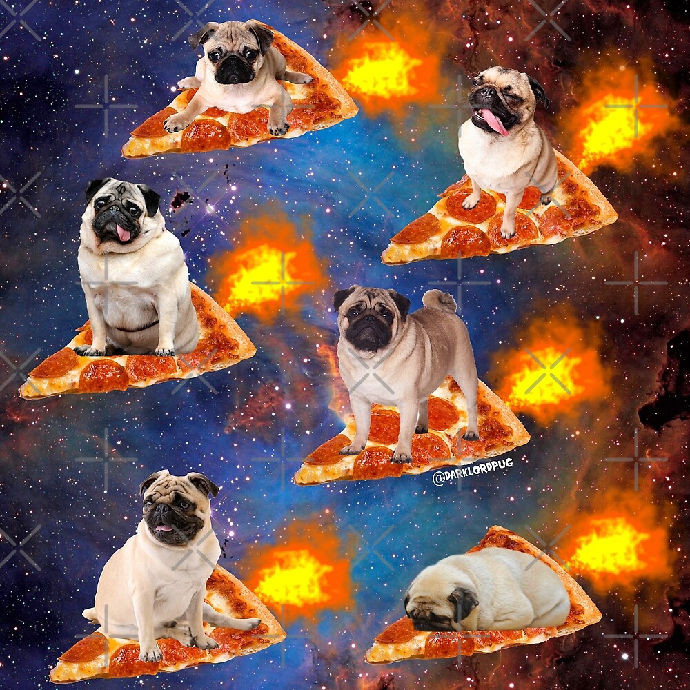 pizza dog toys