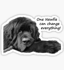 One Newfie Can Change Everything! Sticker