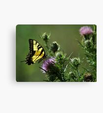 Yellow Majesty Canvas Print