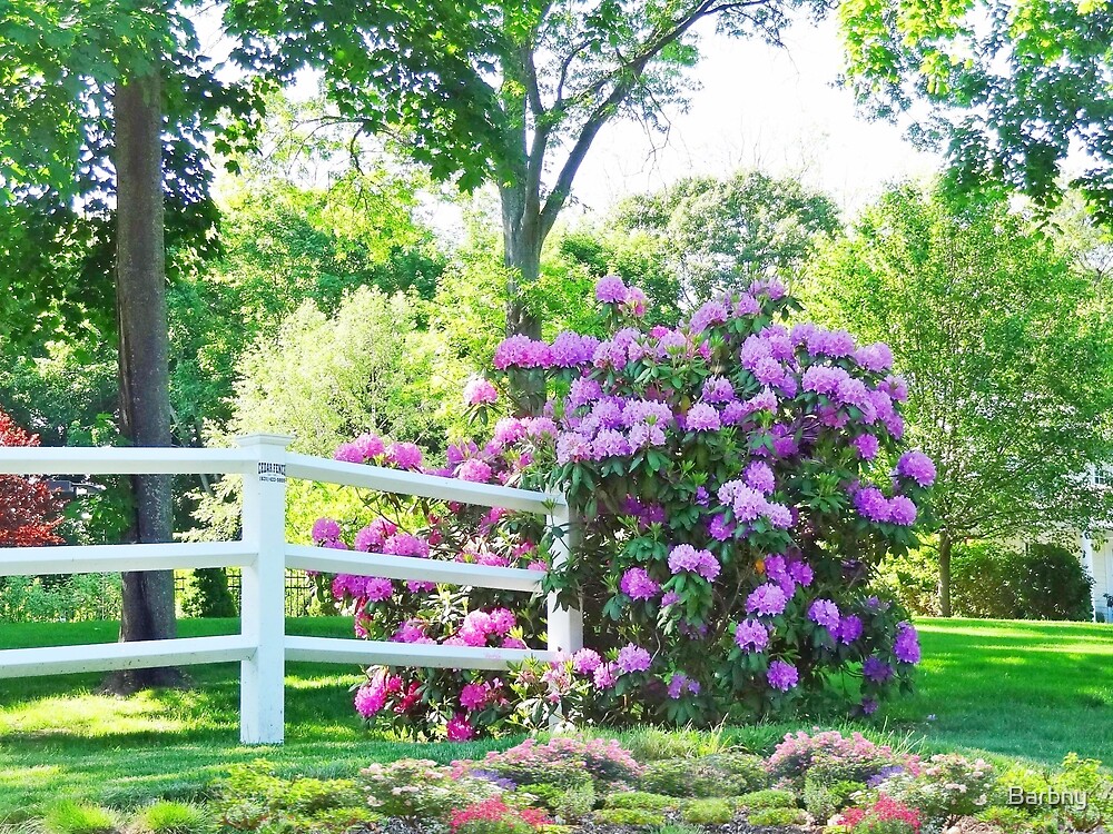 "A life without dreams is like a garden without flowers." by Barbny