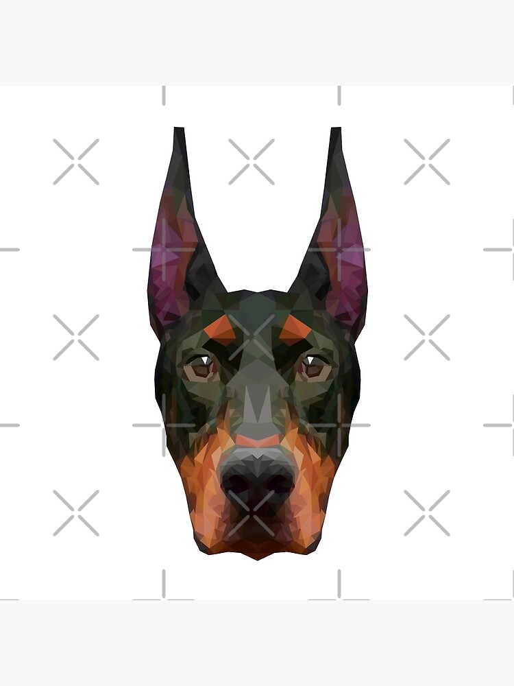 Doberman (Pinscher) by edwardmhz