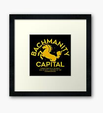 silicon valley Framed Print