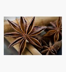 Anise Photographic Print