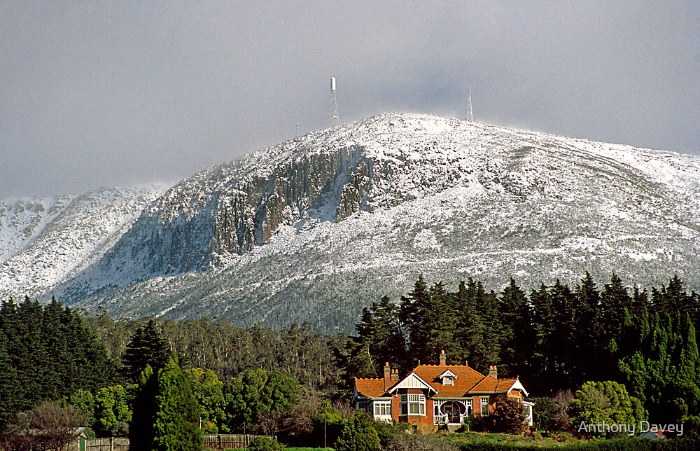 "Mt Wellington snow beauty" by Anthony Davey Redbubble