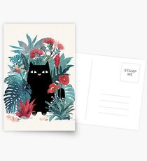 Popoki Cartes postales