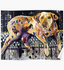 Party Animal Poster
