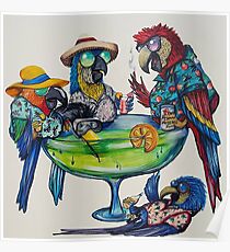 Welcome to Parrotise Poster