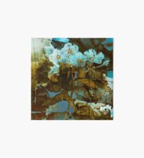 Fleurs en hiver/wintery floral Art Board