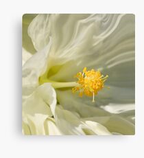 Silken Canvas Print