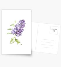 Lilac Postcards