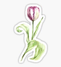 Tulip Stickers | Redbubble