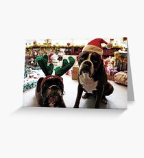 Merry Christmas! -Boxer Dogs Series- Greeting Card