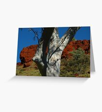 Snappy Gum, Dales Gorge, Karijini Greeting Card