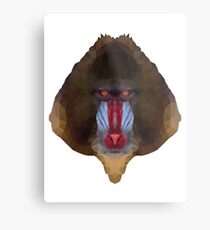 mandrill Metal Print