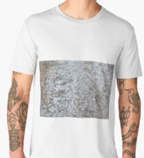 Freezing Over Men's Premium T-Shirt
