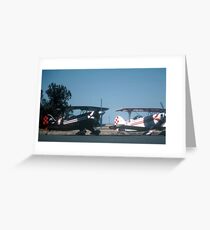 IN PLANE BLACK & WHITE Greeting Card