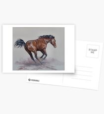 Zed at play Postcards