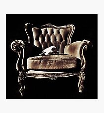 Take a Seat Photographic Print