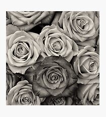 Black and White Rose Bouquet Photographic Print