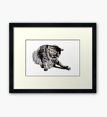 Cat Cube Framed Print