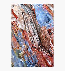 Cascades Photographic Print