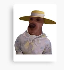 Scooby Doo Plane Disguise Canvas Print