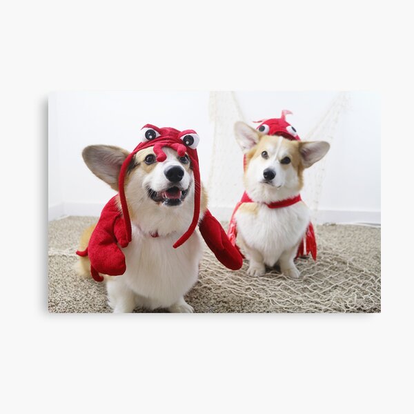 Lobster Corgi Canvas Print