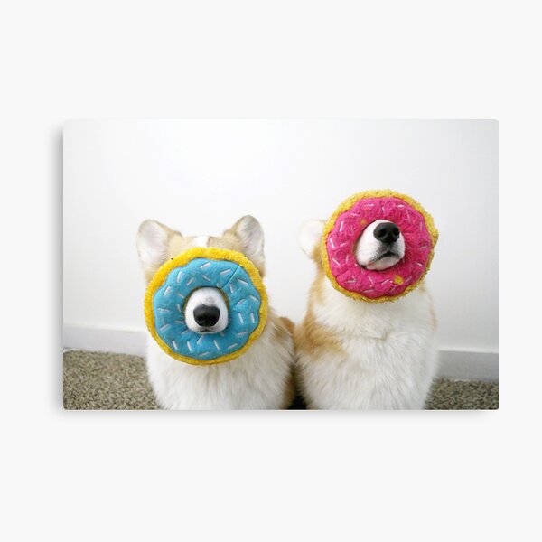 Corgnuts Canvas Print