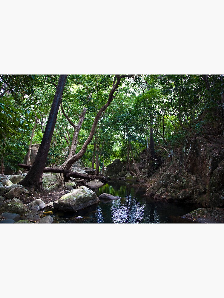 Rainforest tranquility by DavidWachenfeld