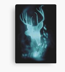 Stag Spirit Guide Canvas Print