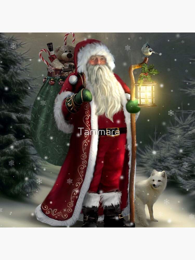 The Christmas Traveler by Tammara