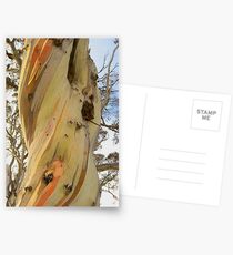 Snowgum Postcards