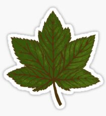 Maple Leaf Sticker
