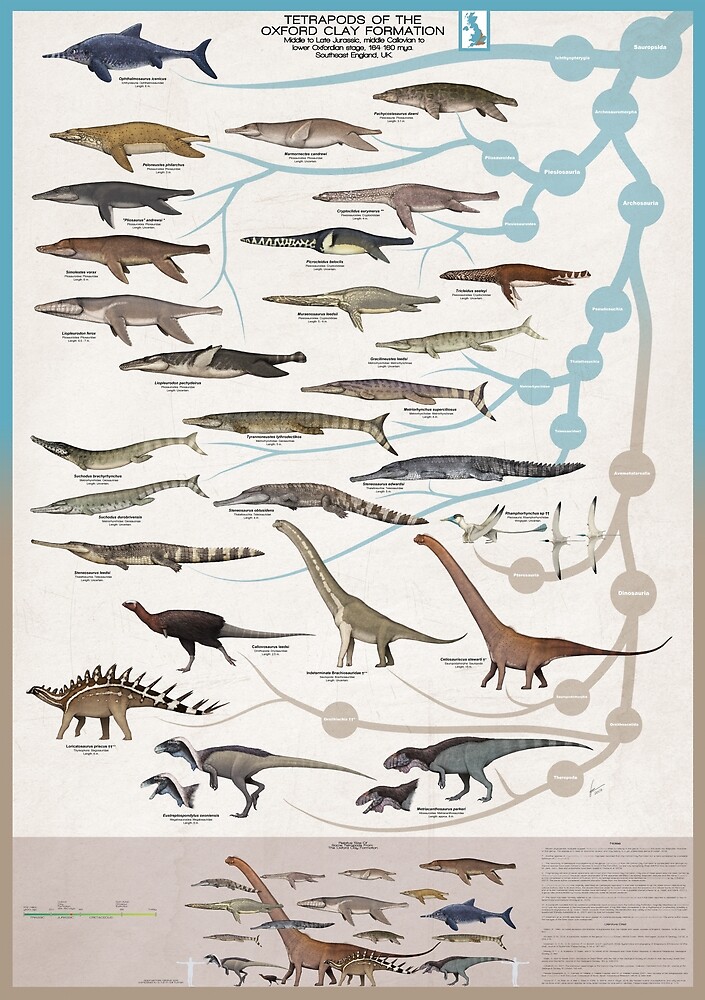 "Tetrapods of the Oxford Clay Formation" by SerpenIllus Redbubble