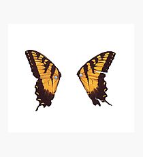 Paramore Butterfly Photographic Print