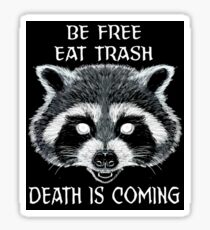 Trash Panda Meme Sticker