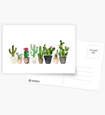 Cactus Postcards