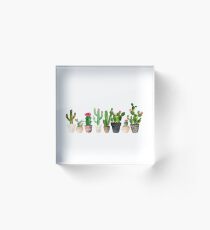 Kaktus Acrylblock