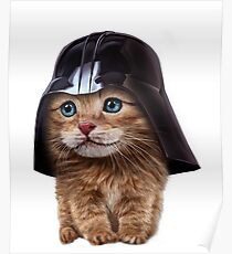 Fluffy Siamese Cat Wearing Darth Helmet Poster