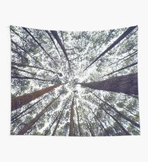 Light Through the Trees Wall Tapestry