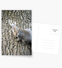 Hi! Can I help you? Postcards