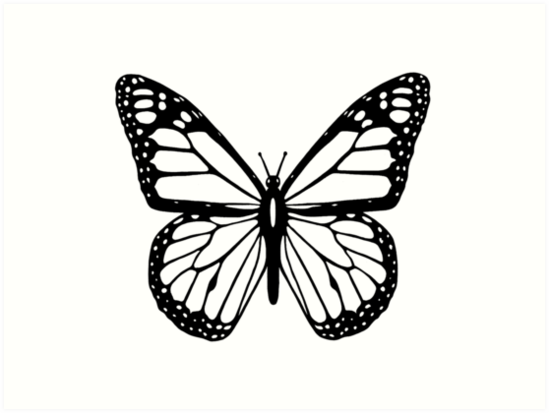 Butterfly Black And White Butterfly Art Print By Tomsredbubble